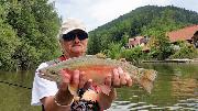 Pretty Rainbow, May, Slovenia fly fishing